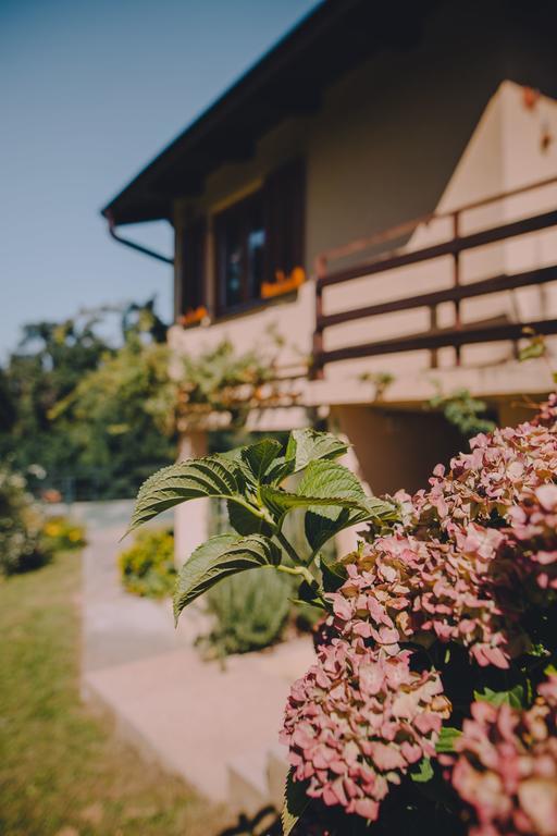 Holiday Home Castanea Praporcan Esterno foto
