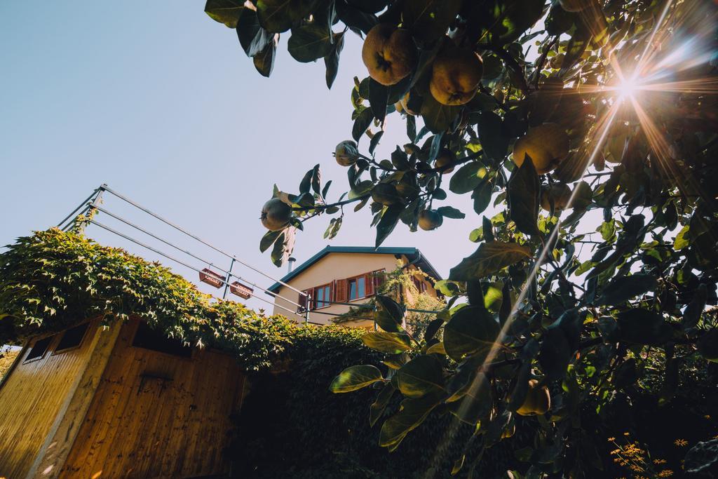Holiday Home Castanea Praporcan Esterno foto